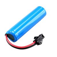 Extra Battery