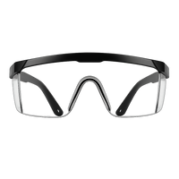 Goggle