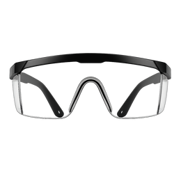 Goggle